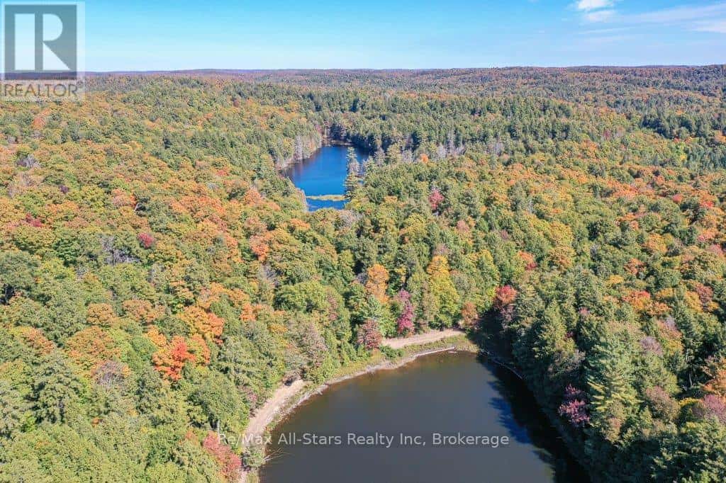 , Algonquin Highlands (McClintock), — Algonquin Highlands (McClintock) - Photo 3 of 26