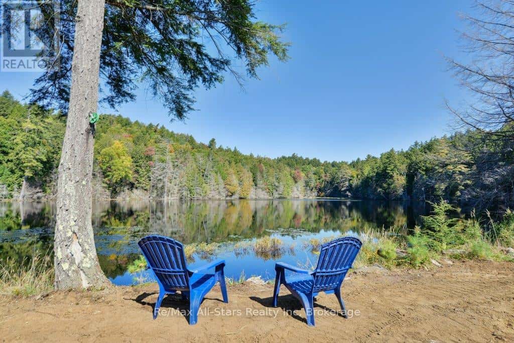 , Algonquin Highlands (McClintock), — Algonquin Highlands (McClintock) - Photo 5 of 26