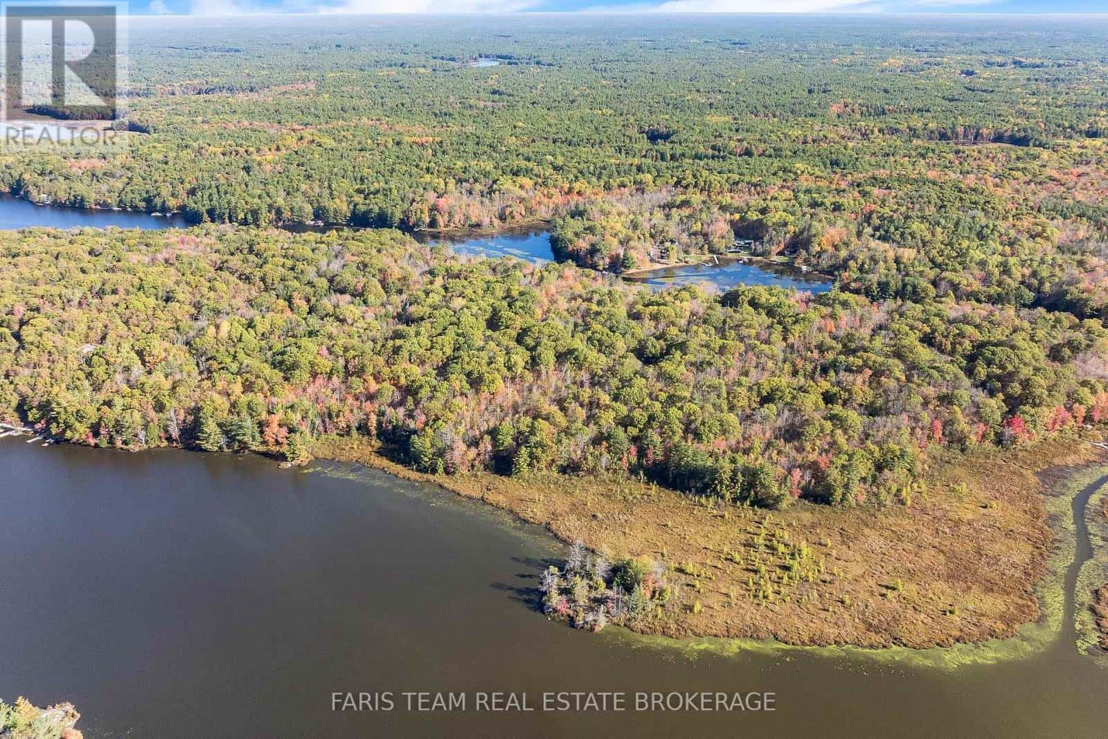 1813 ISLAND ROAD — Severn (Coldwater) - Photo 4 of 8