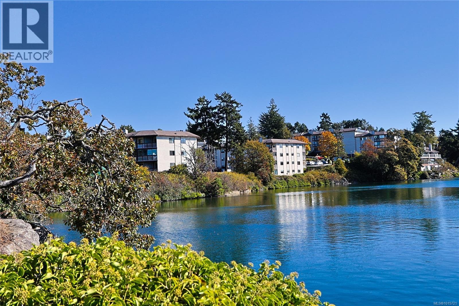 208 69 Gorge Rd W — Saanich - Main photo