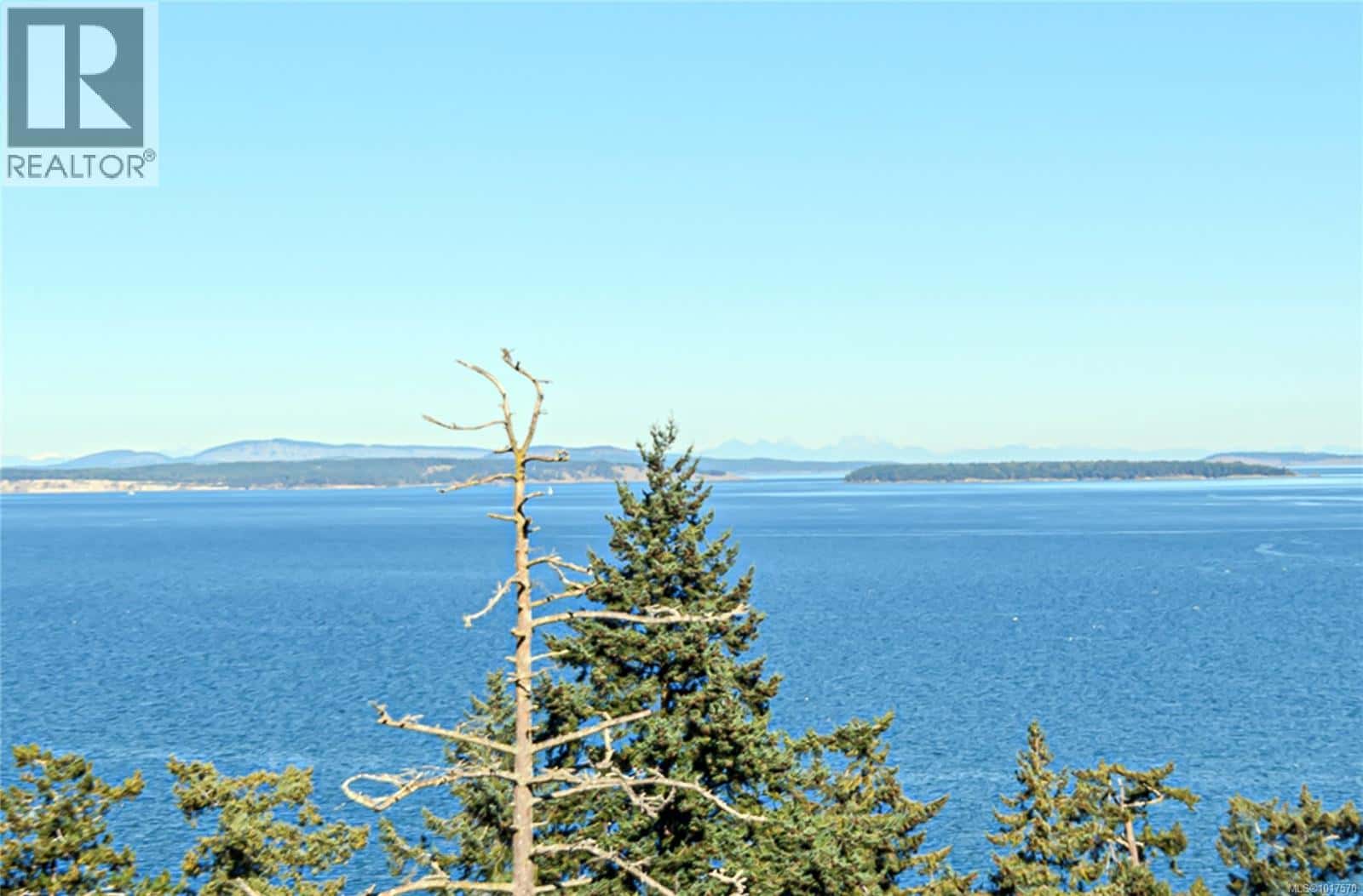 4727 Treetop Hts — Saanich - Photo 3 of 62