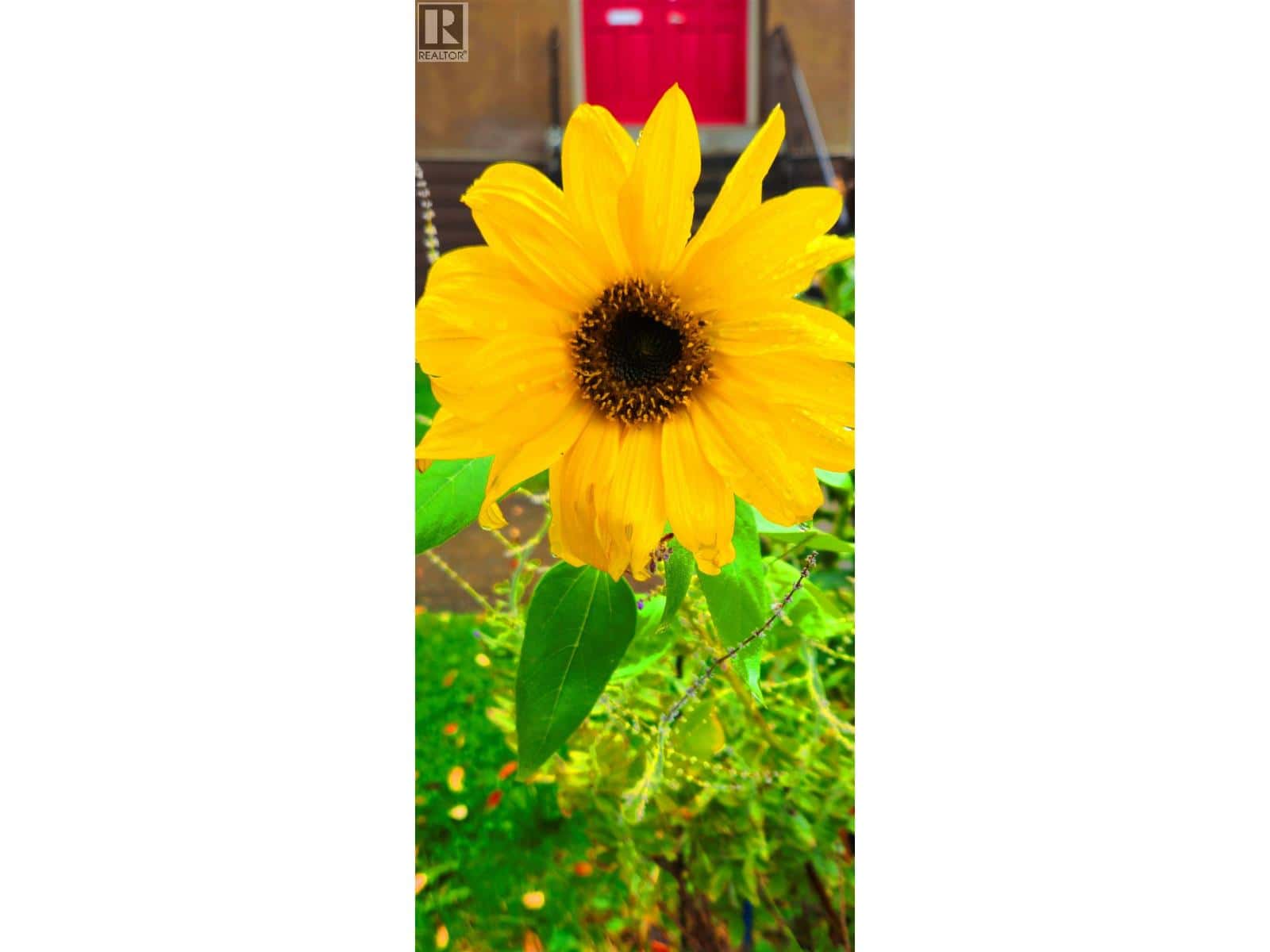 1072 E 55TH AVENUE — Vancouver - Photo 4 of 6