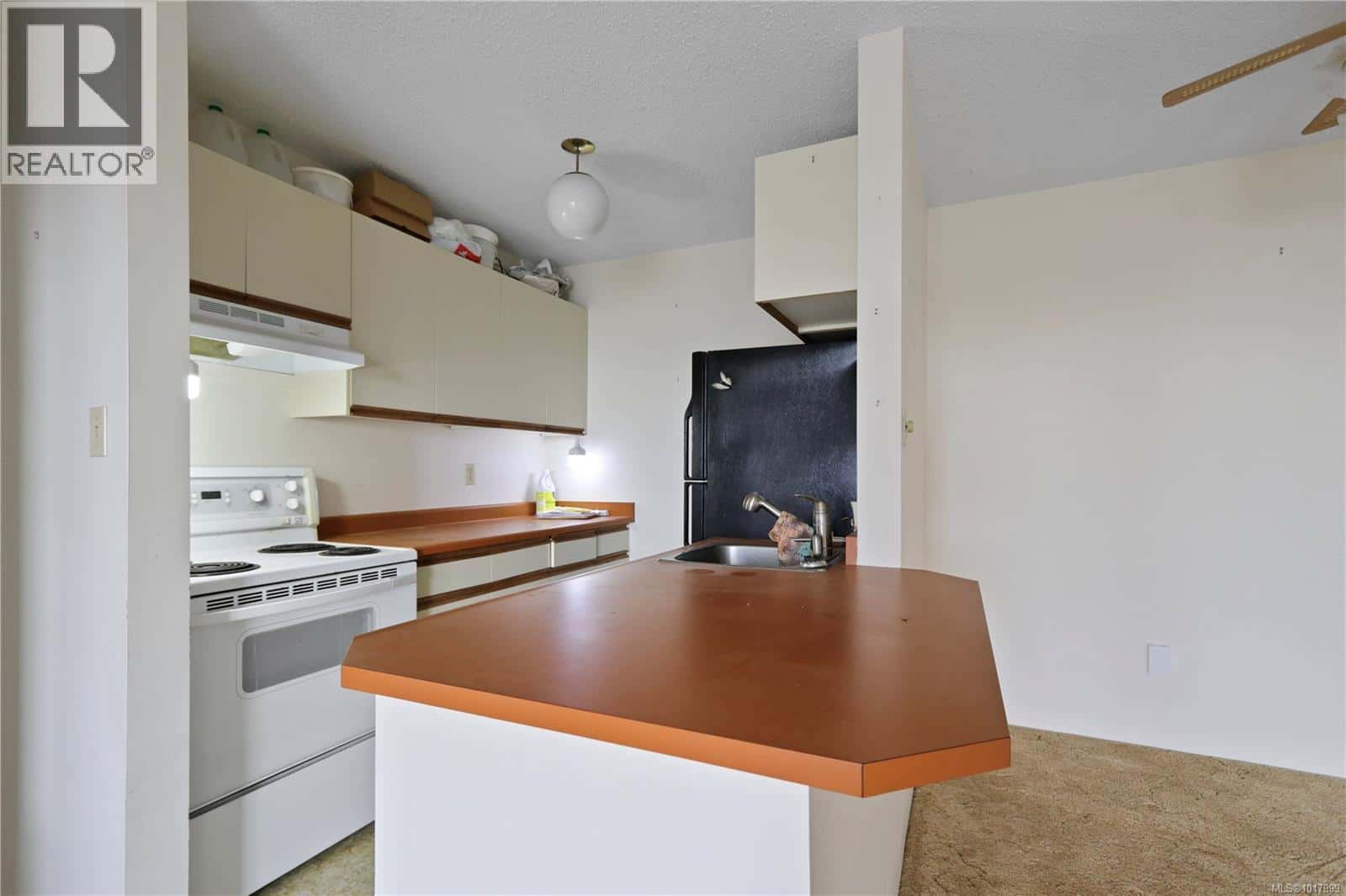 407 9942 Daniel St — Chemainus - Photo 5 of 21