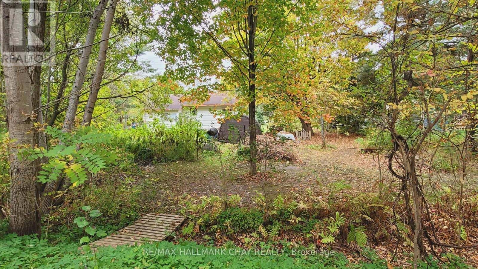 14189 12 HIGHWAY — Tay (Waubaushene) - Photo 5 of 22