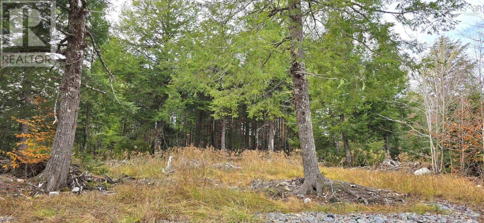 Lot 24 Russells Cove Road — Parkdale - Photo 4 of 31