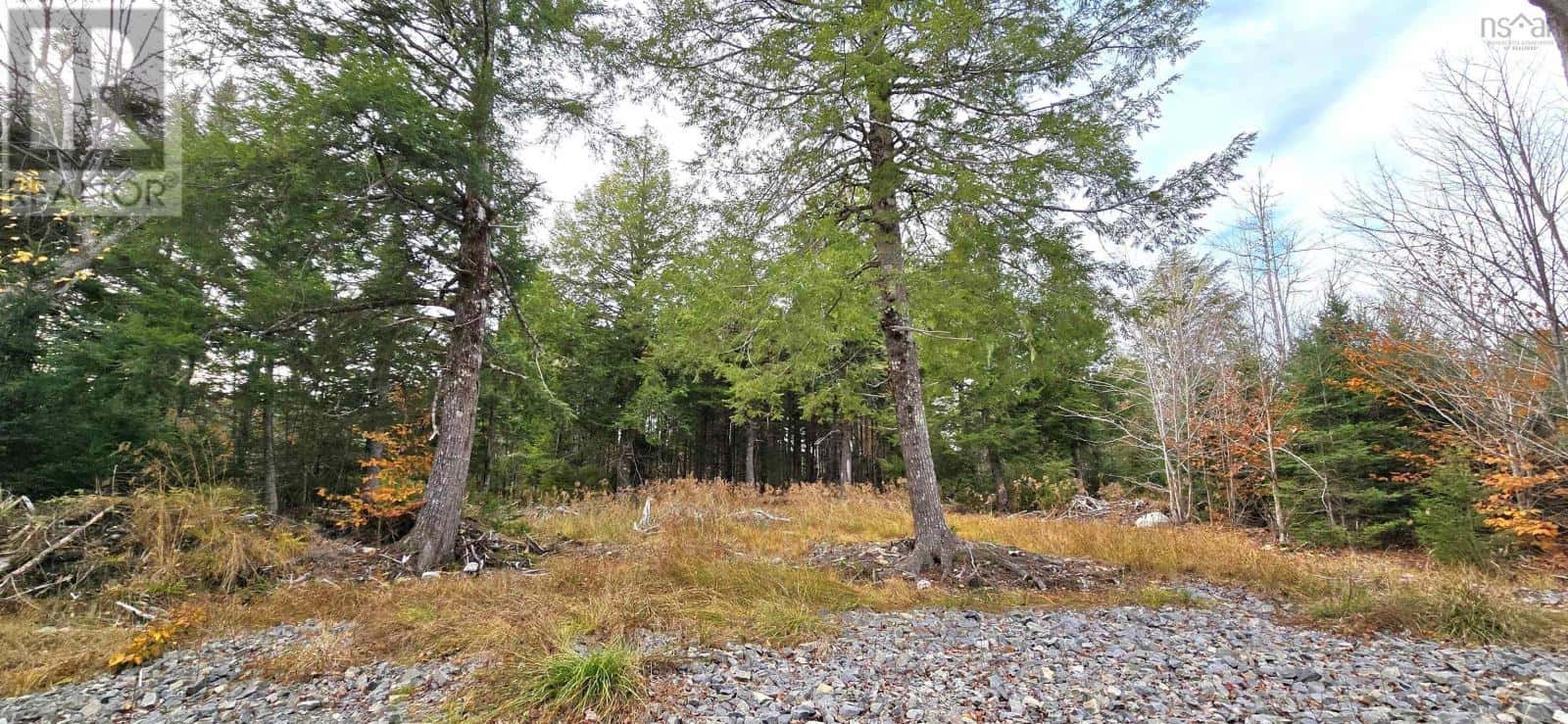 Lot 24 Russells Cove Road — Parkdale - Photo 5 of 31