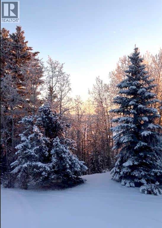 311 Rodeo Ridge — Rural Rocky View County - Photo 4 of 50