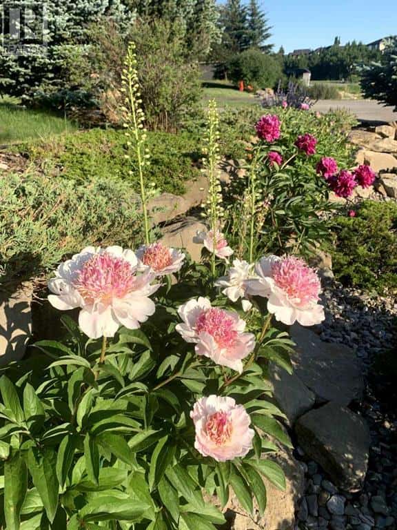 311 Rodeo Ridge — Rural Rocky View County - Photo 5 of 50