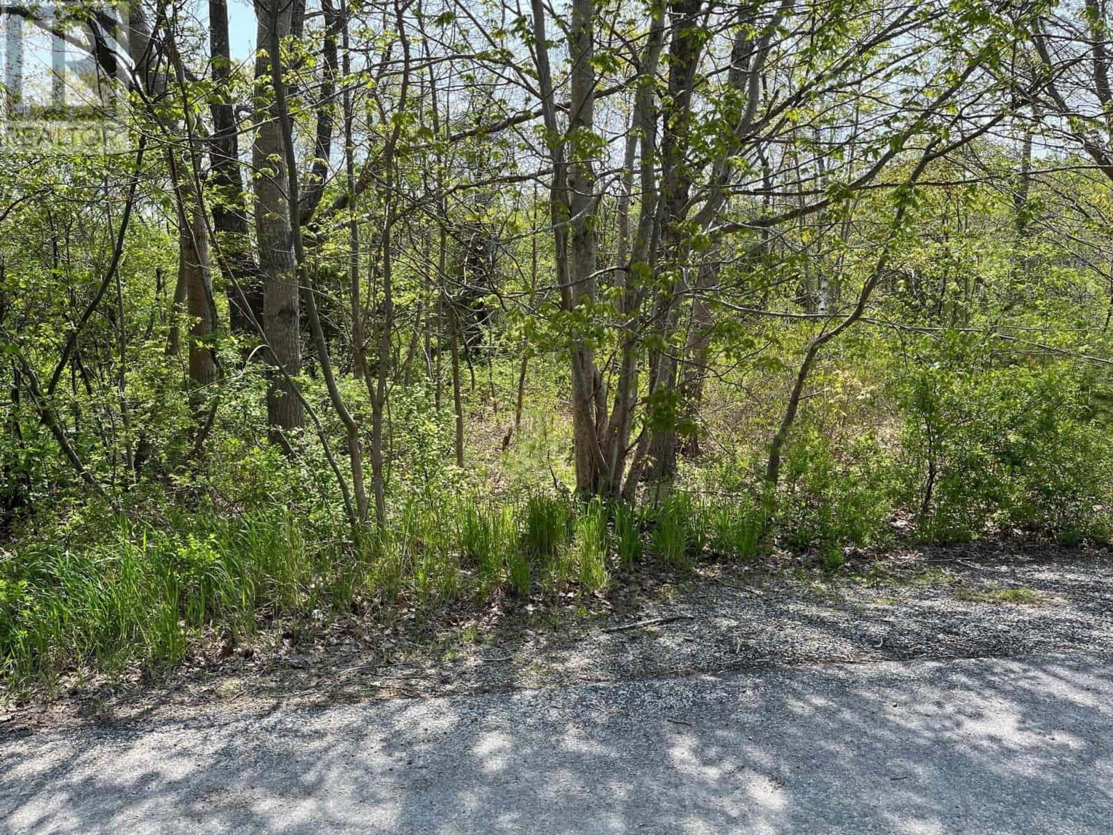 31 Franks Lane — Bridgewater - Photo 2 of 4