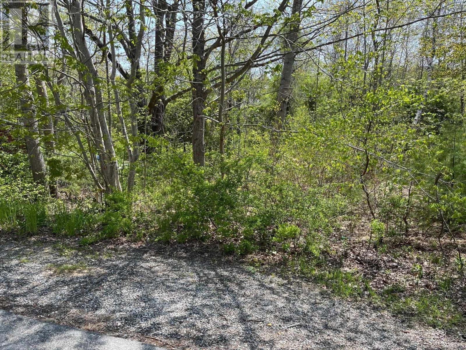 31 Franks Lane — Bridgewater - Photo 3 of 4