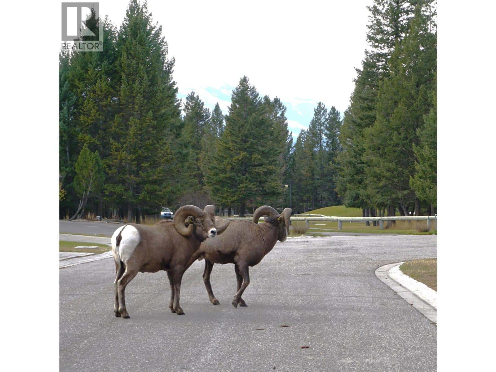 900 Bighorn Boulevard Unit# 931 Lot# 154 — Radium Hot Springs - Photo 4 of 9