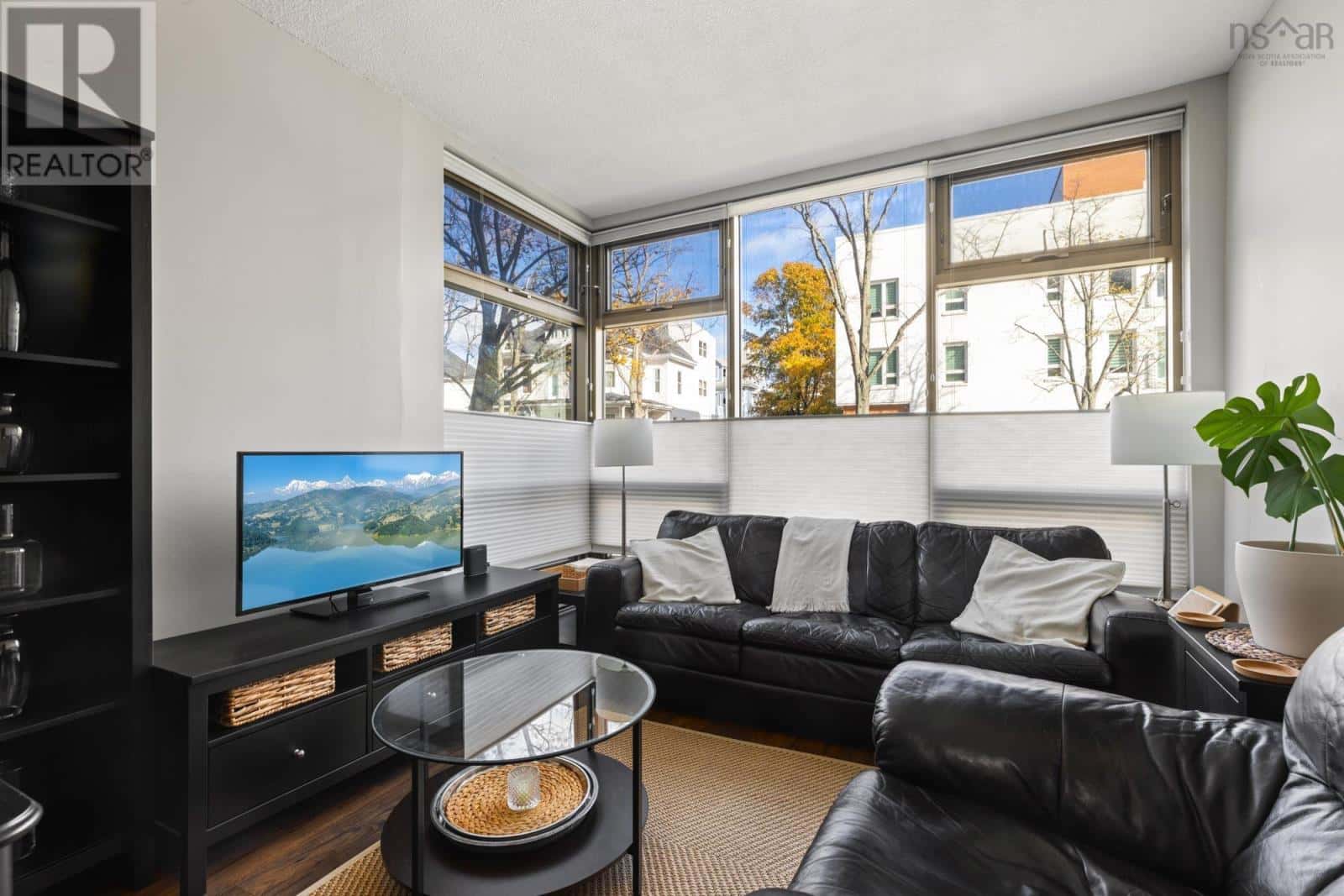 202 6369 Coburg Road — Halifax - Photo 3 of 18