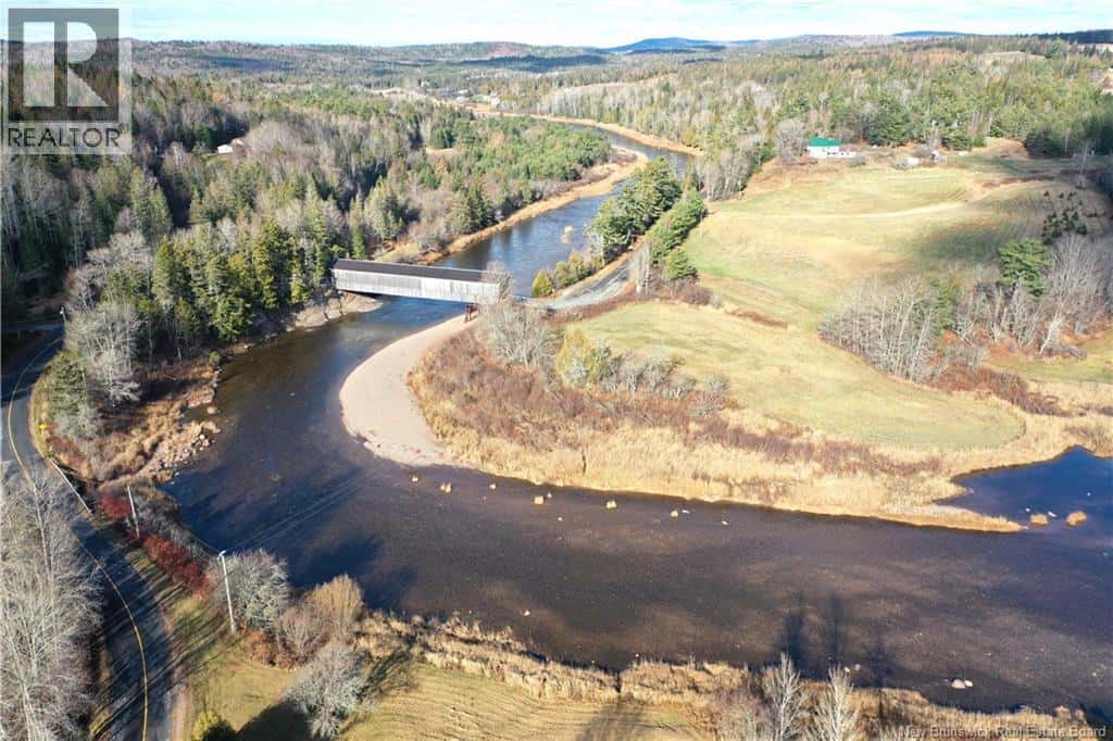 810 Damascus Road — Damascus - Photo 5 of 47