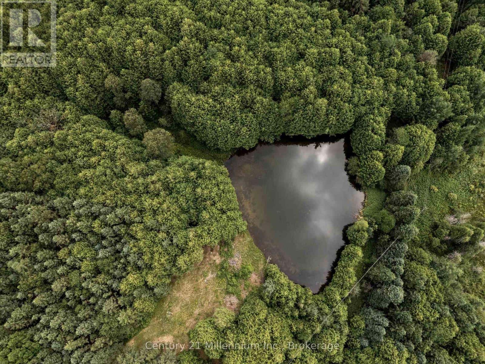 264701 SOUTHGATE 26 ROAD — Southgate, Ontario - Photo 4 of 35