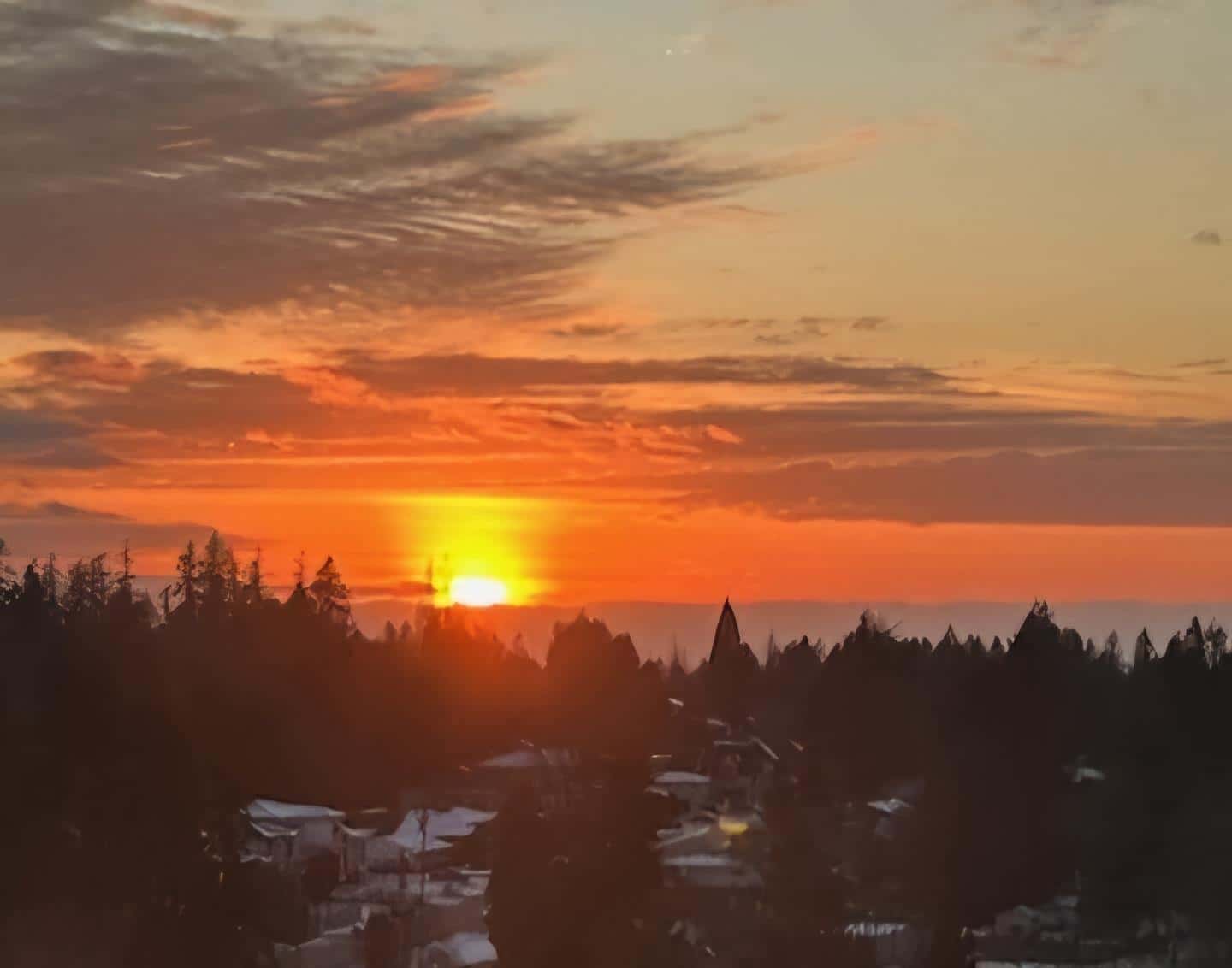 1206 10777 UNIVERSITY DRIVE — Surrey, British Columbia - Photo 4 of 34