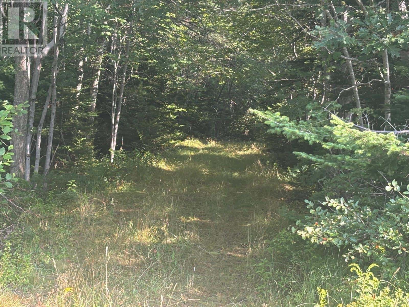 Central Port Mouton Road — Port Mouton - Photo 2 of 11