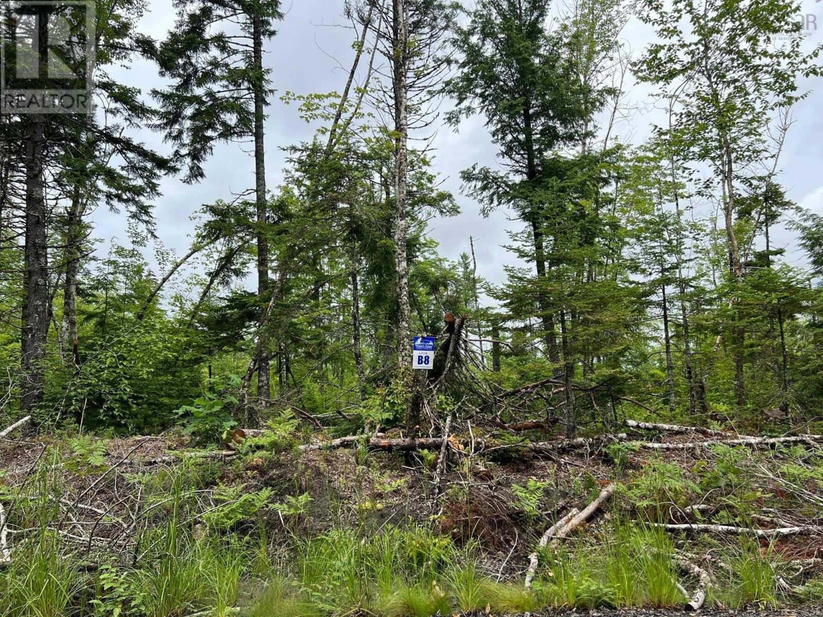 Lot 55 Russells Cove Road — Parkdale - Photo 2 of 8