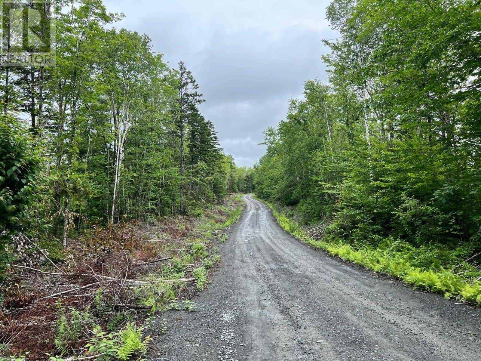 Lot 55 Russells Cove Road — Parkdale - Photo 3 of 8