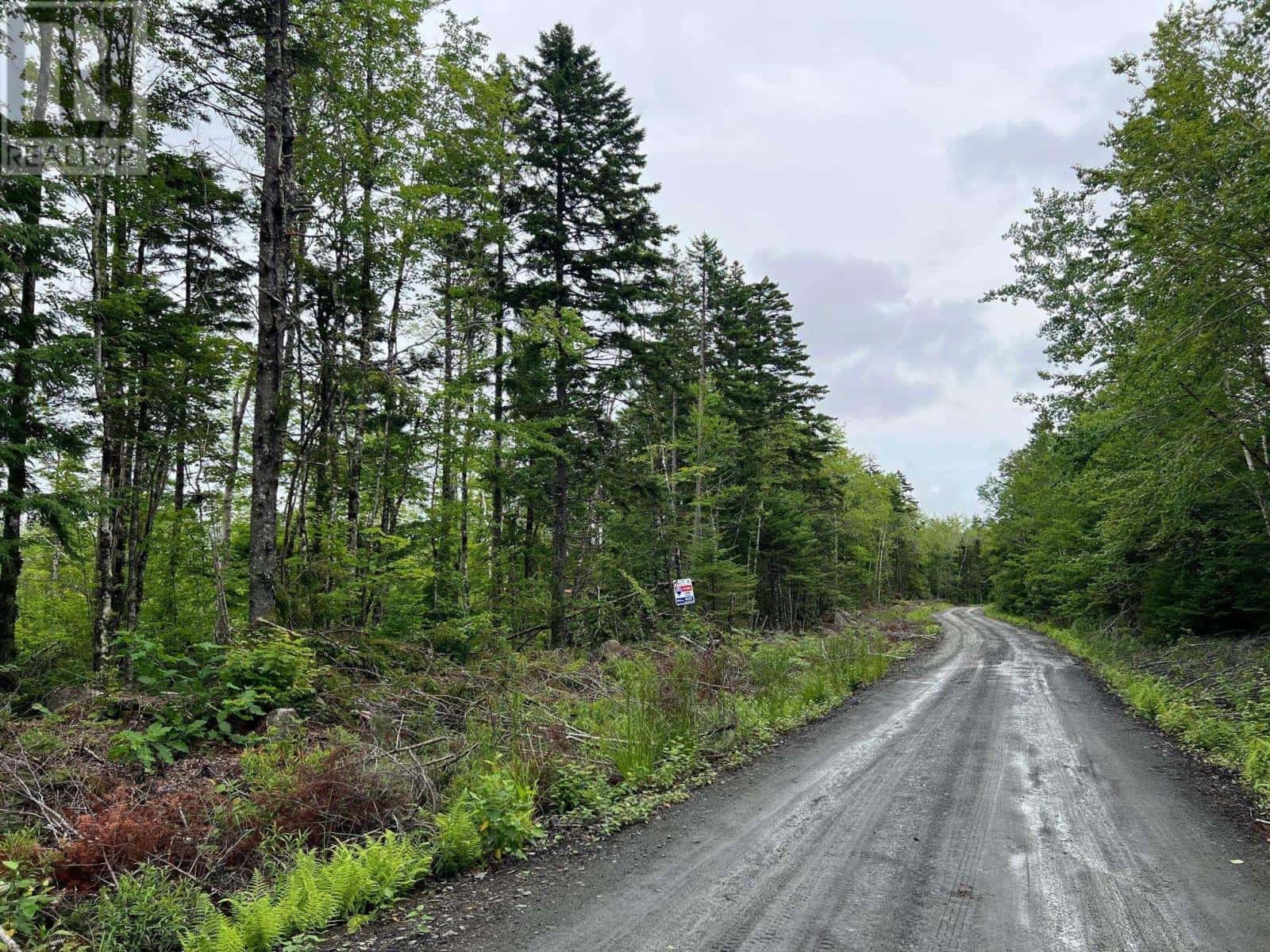 Lot 55 Russells Cove Road — Parkdale - Photo 5 of 8