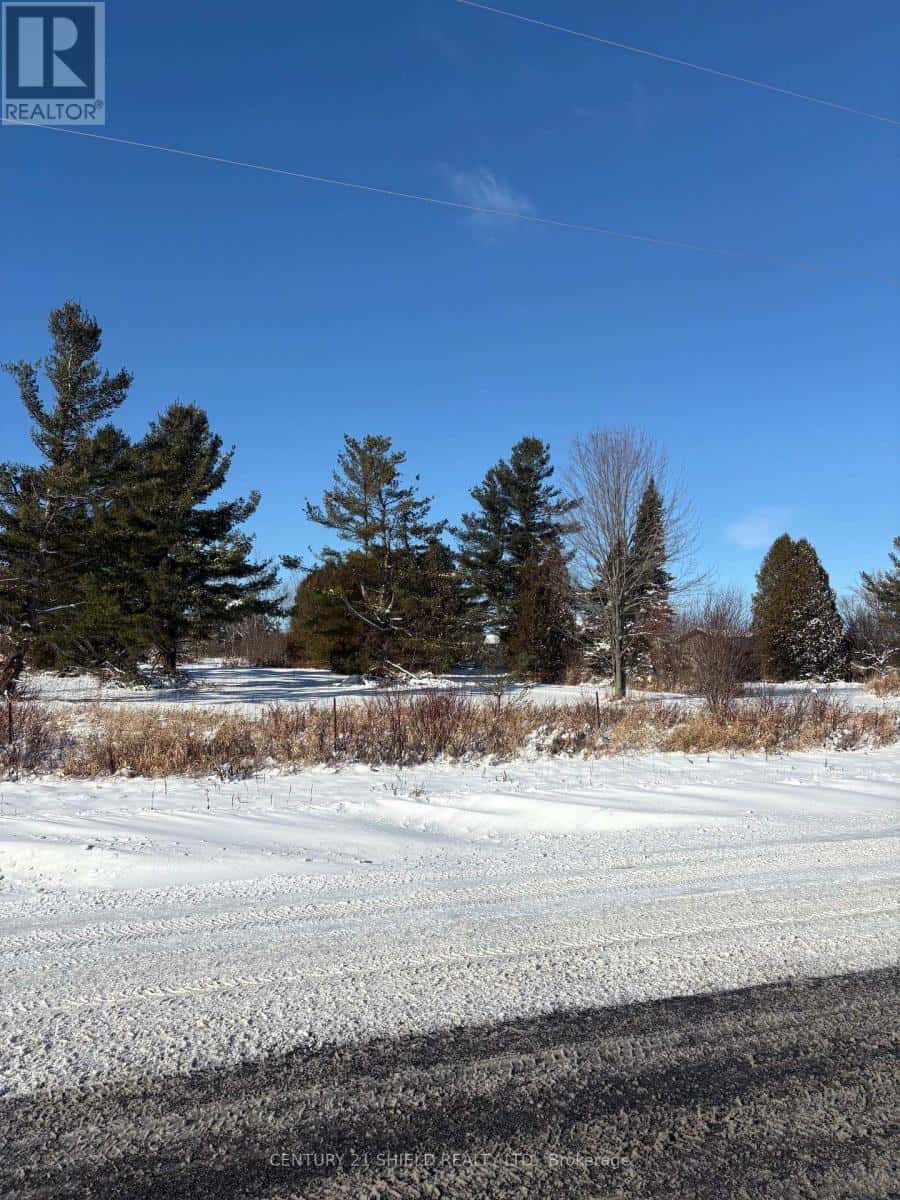 15557 DIXON ROAD — South Stormont - Photo 2 of 20