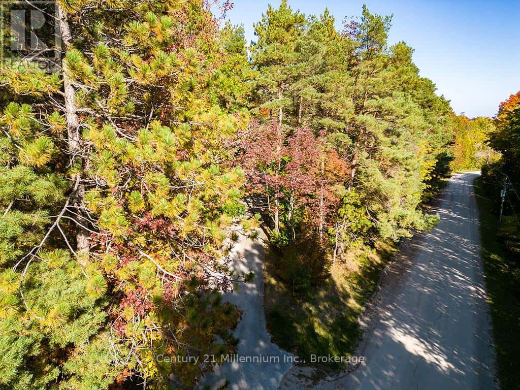 265797 25TH SIDE ROAD — Meaford - Photo 5 of 46