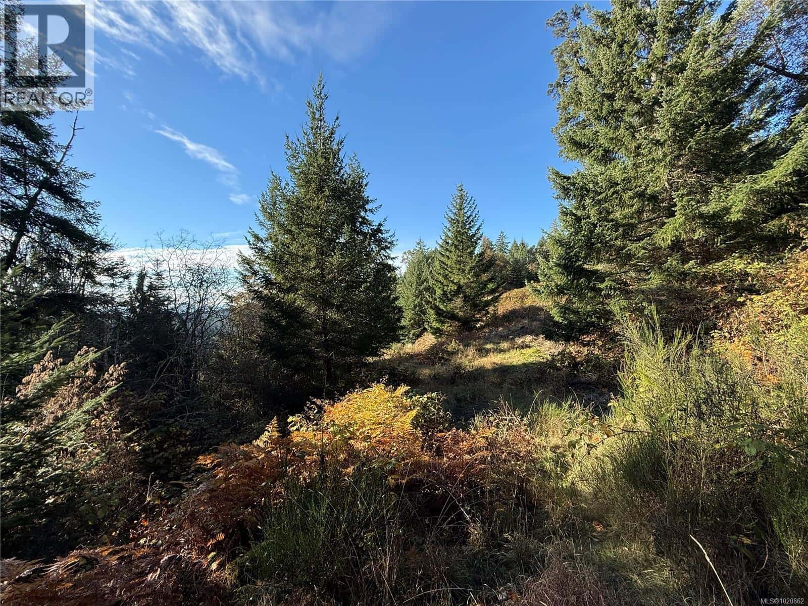 1 South Rd — Gabriola Island - Photo 3 of 7