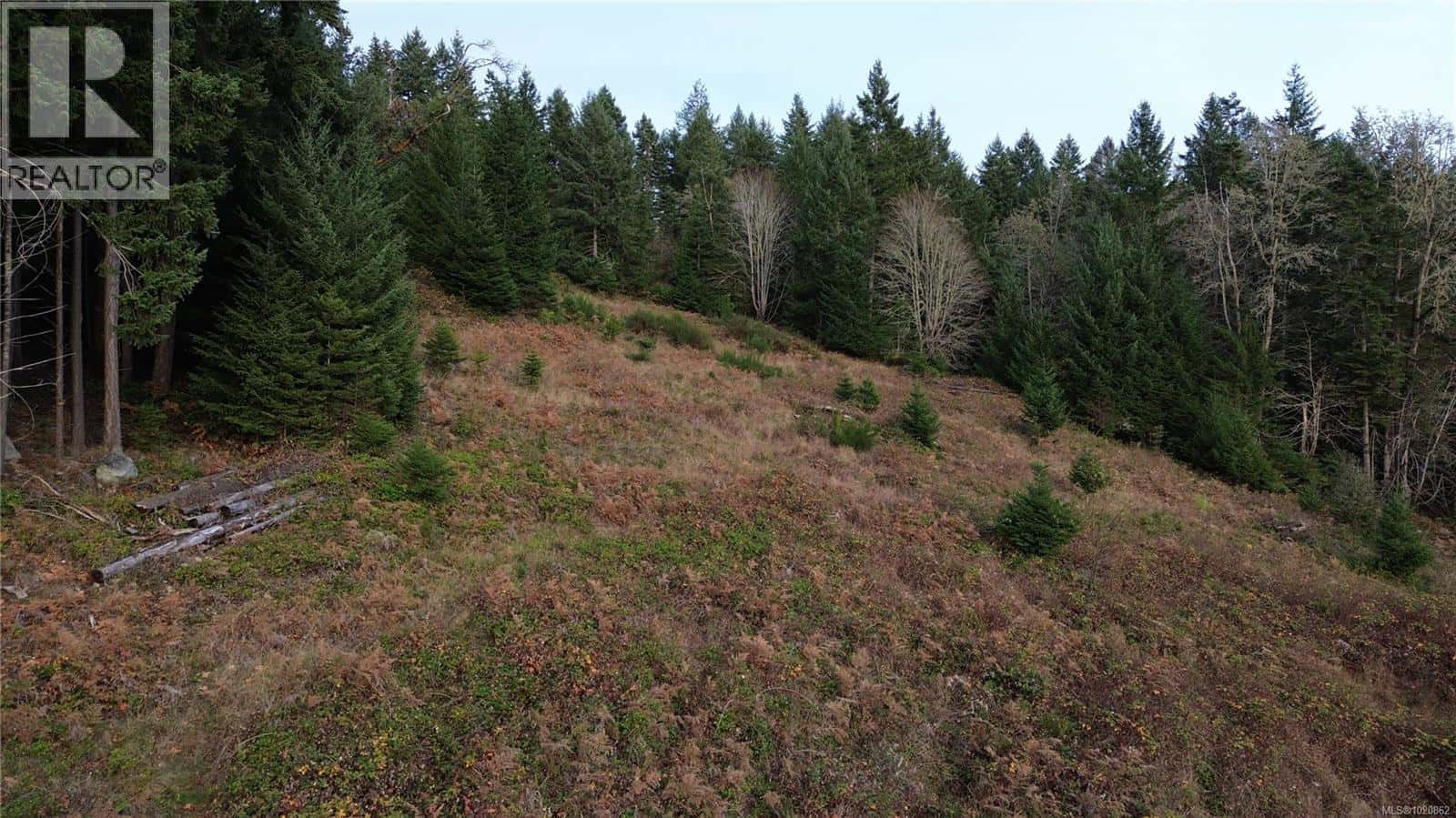 1 South Rd — Gabriola Island - Photo 4 of 7