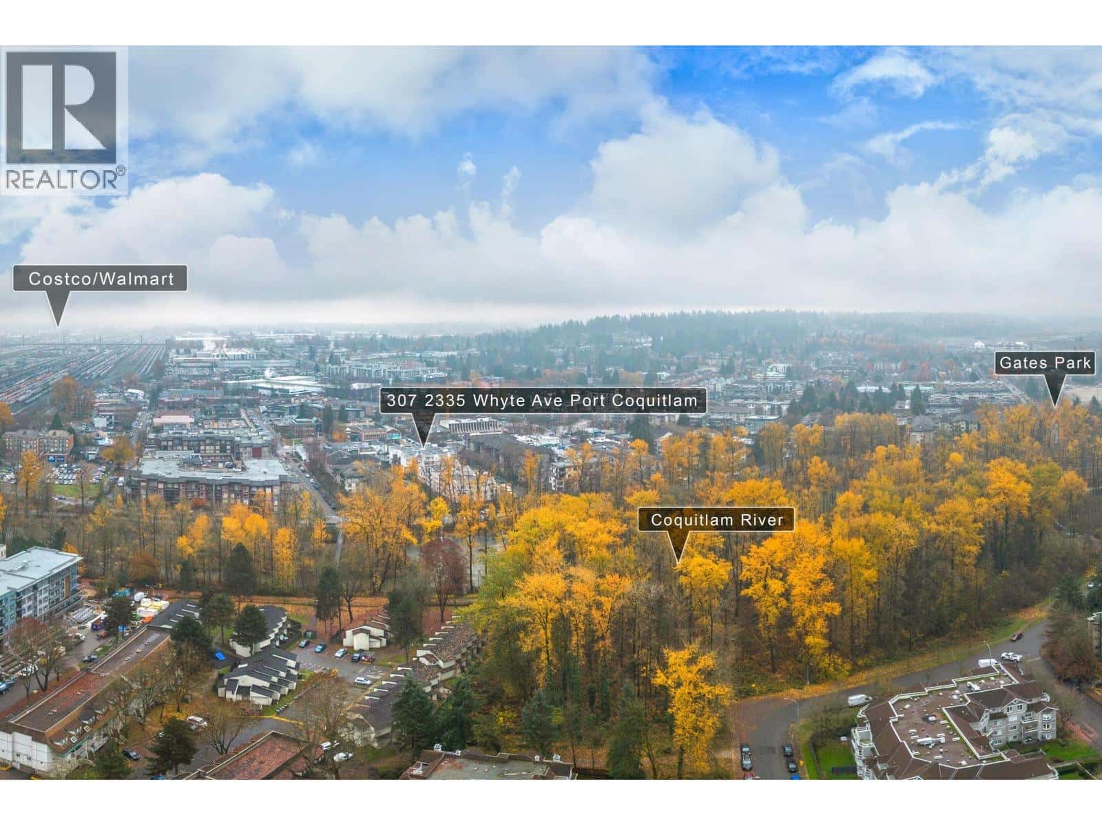 307 2335 WHYTE AVENUE — Port Coquitlam - Photo 3 of 34