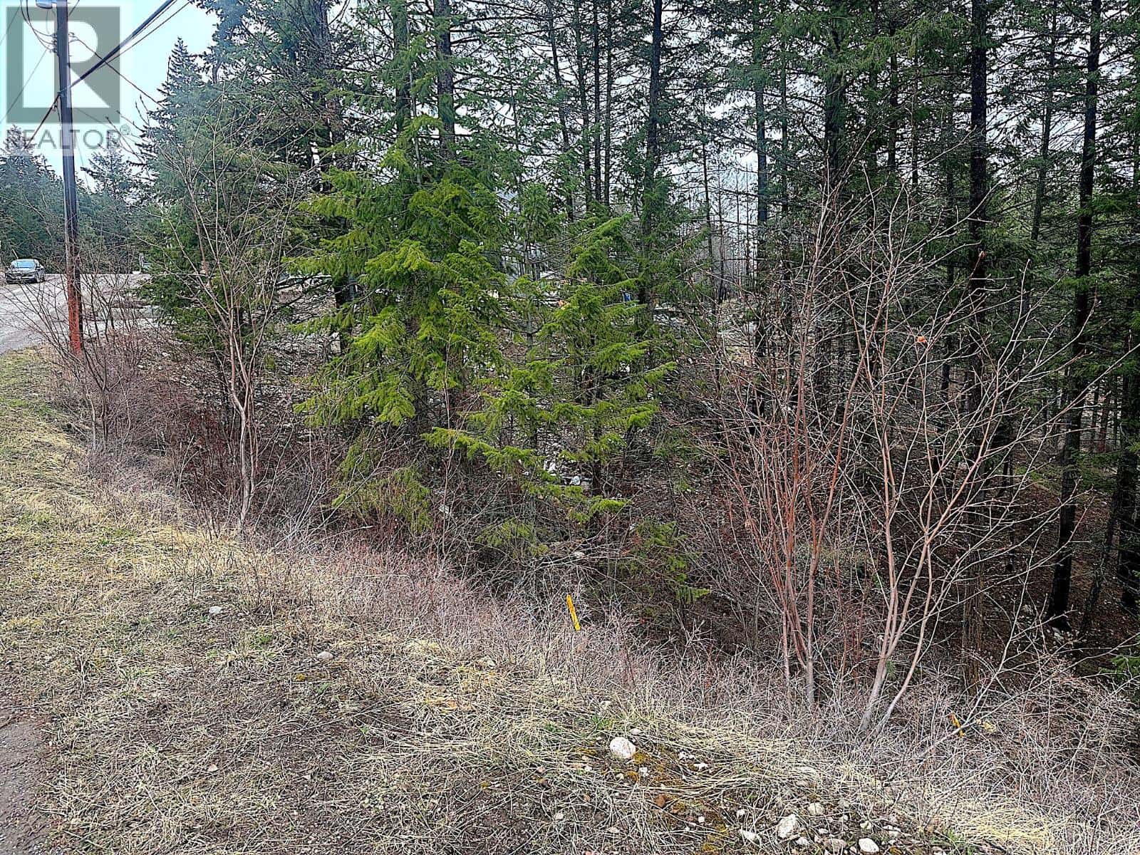 Lot 91 Houghton Road Lot# 91 — Vernon, British Columbia - Photo 4 of 16