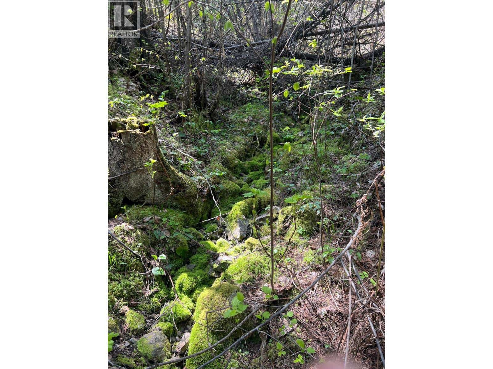 Lot 2 LOIS Lane — Winlaw, British Columbia - Photo 3 of 17