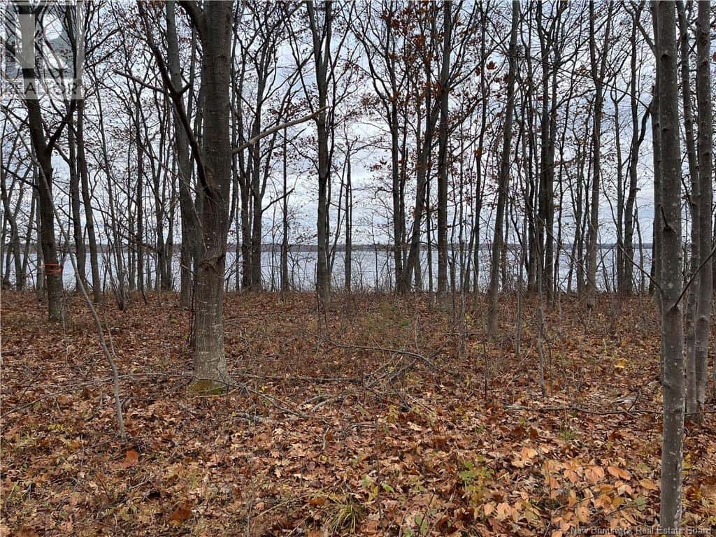 LOT Cox Point Road — Cumberland Bay, New Brunswick - Photo 3 of 19