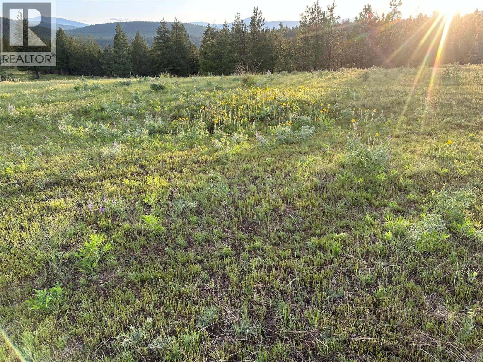 6145 Parnaby Road (Lot A9) — Cranbrook, British Columbia - Photo 5 of 12