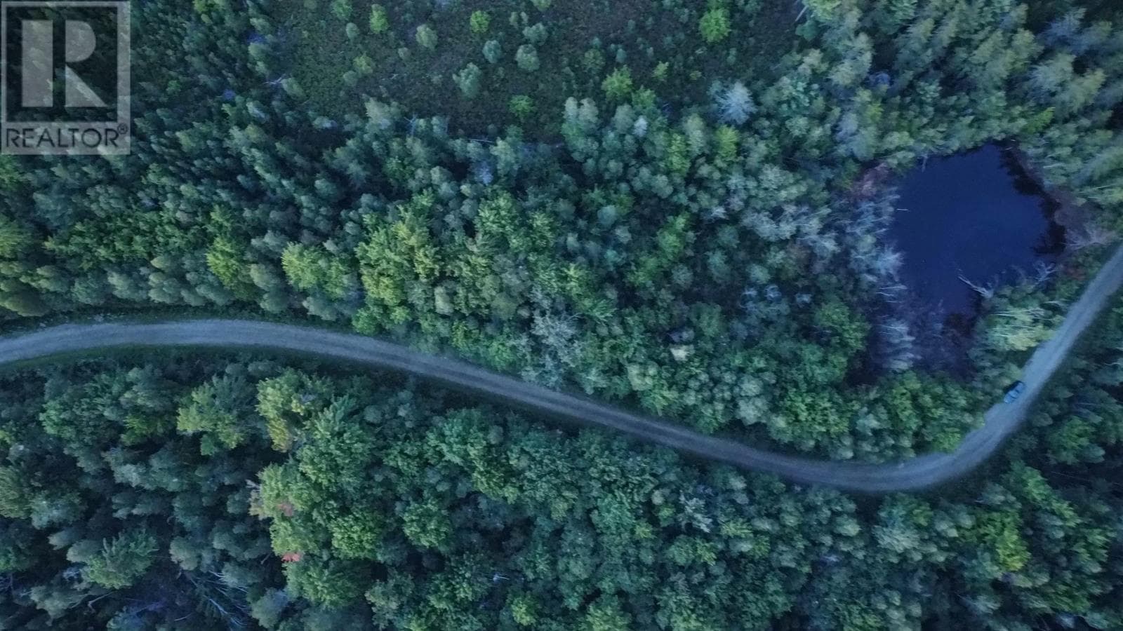 Old Halifax Road — Salt Springs, Nova Scotia - Main photo