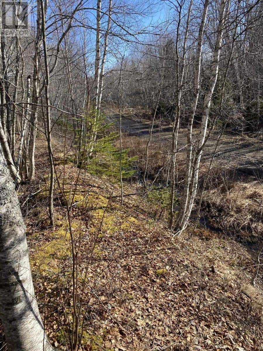 Old Halifax Road — Salt Springs, Nova Scotia - Photo 3 of 10